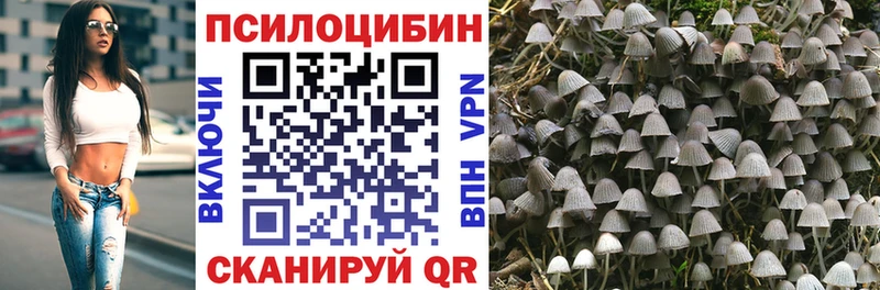 Псилоцибиновые грибы GOLDEN TEACHER  hydra ТОР  Нея 