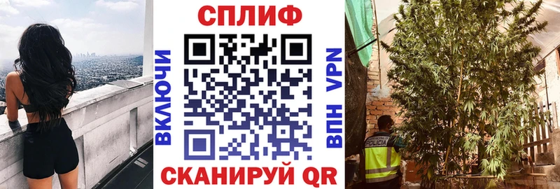 закладки  Нея  МАРИХУАНА MAZAR 